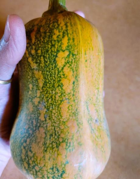 Petite courge butternut au pesto Petite courge butternut au pesto