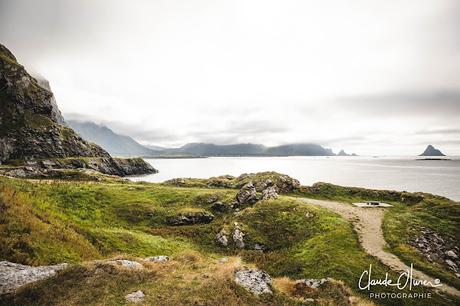 À la découverte des îles Lofoten et Vesteralen : Andenes et les cachalots !