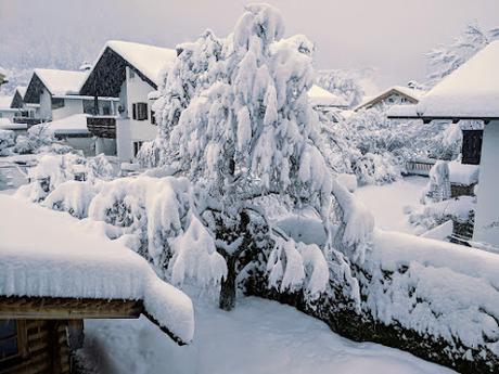 Wintermärchen in Mittenwald — 25 Bilder / Féerie hivernale à Mittenwald — 25 photos