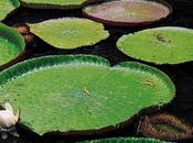 L’Île Maurice Nouvelle Destination Préférée Suisses