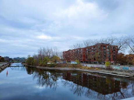 Bok choï et haché végétal sur riz Bok choï et haché végétal sur riz