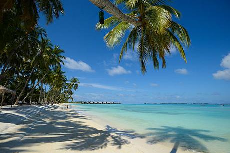 Nouvel An à Maurice: Commencez 2024 dans un Paradis Tropical Nouvel An à Maurice: Commencez 2024 dans un Paradis Tropical