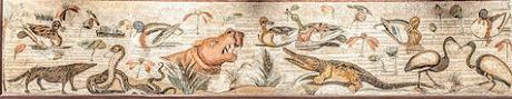 Coups de coeur  — 17 mosaïques pompéiennes du Musée archéologique de Naples