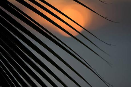 Expatriation Festive – Pourquoi Choisir Maurice pour les Fêtes de Fin d’Année Expatriation Festive – Pourquoi Choisir Maurice pour les Fêtes de Fin d’Année