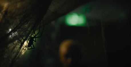 🕷️ VERMINES...Elles arrivent au Cinéma le 27 Décembre 2023 - Bande Annonce