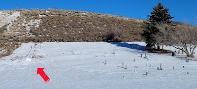 Skier comme un zombie ?