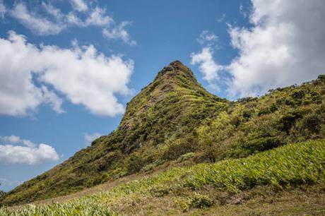 L’île Maurice, une destination de choix pour les entreprises dans le secteur de la logistique