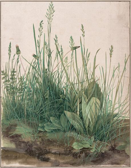 Albrecht_Dürer_-_The_Large_Piece_of_Turf,_1503_-_Google_Art_Project