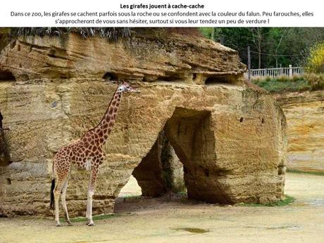 La France - Les Troglodytes d'Anjou