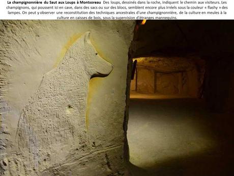 La France - Les Troglodytes d'Anjou