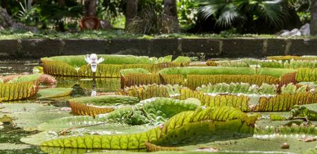 L’Île Maurice –  Un Paradis à Découvrir Pour les Suisses Cherchant le Soleil