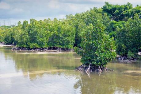 Sécurité à l’Île Maurice – Ce que les Familles Doivent Savoir