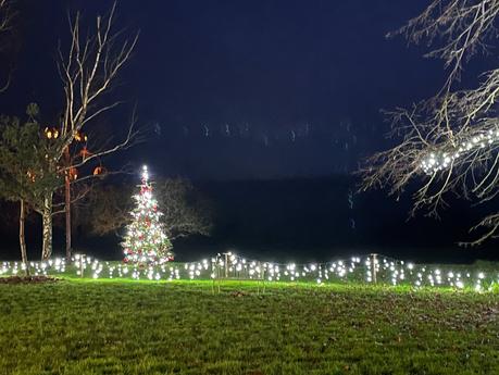 izSlQwLlSW2KkQbCP%AdVg