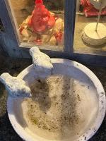 2MZkZaqhQlSoQw8G8cm6eQ