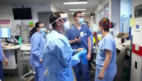 Ballerines Hippopotames Sur Paquebot Ballerines Hippopotames Sur Paquebot