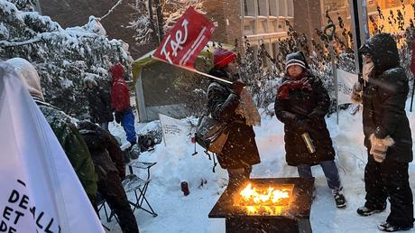 Ballerines Hippopotames Sur Paquebot Ballerines Hippopotames Sur Paquebot