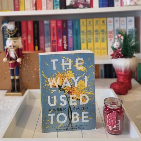 The Way I Used to be | Amber Smith