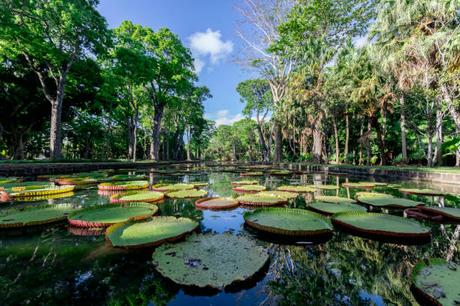 2024 – L’année pour les Suisses de vivre leur rêve à l’île Maurice 2024 – L’année pour les Suisses de vivre leur rêve à l’île Maurice