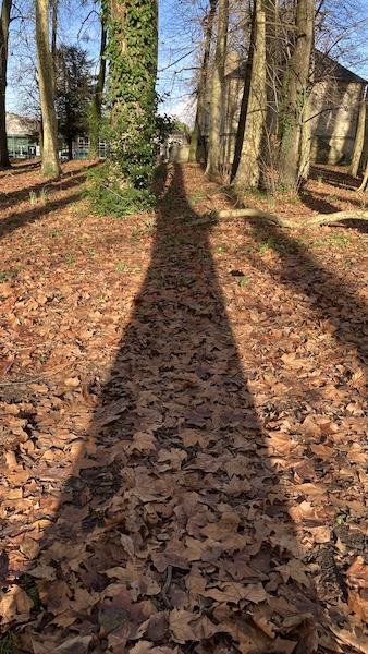 Petit coup d’œil … [23]