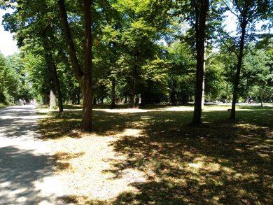 Gigaset GS185 : le smartphone « Made in Germany » testé