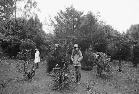 George Harrison examine les souches décharnées de la topiaire de Crisp au début des années 1970, peu après que les ifs envahis par la végétation aient été débarrassés des ronces et taillés. Crédit photo : Barry Feinstein