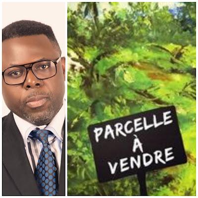 Arian Samba : Parcelle à vendre.