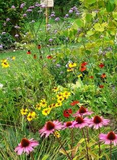 Les Jardins de Laquenexy (Moselle)