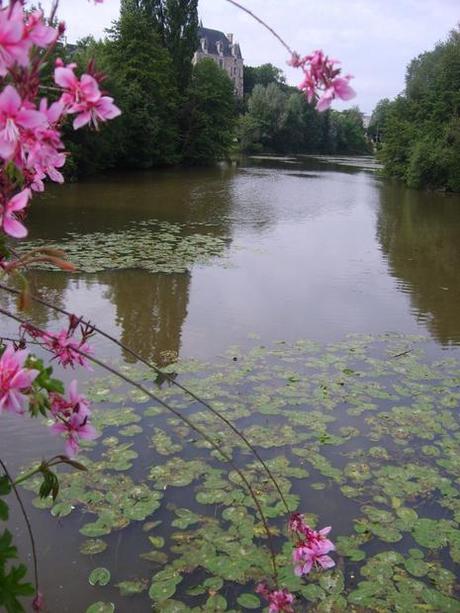 Roulataclès... GO HOME !!! medium_S6008551.JPG