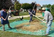 Des dizaines de vieux tracteurs au festival de Champlon, dans la Meuse. (Photos) Des dizaines de vieux tracteurs au festival de Champlon, dans la Meuse. (Photos)