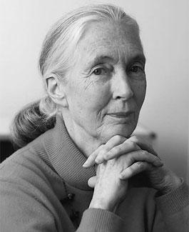 Hommage à Jane Goodall