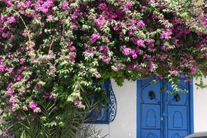 Les portes de Sidi Bou-Saïd