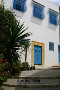 Les portes de Sidi Bou-Saïd