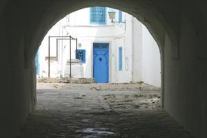 Les portes de Sidi Bou-Saïd