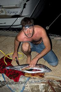 Il était une fois la vie sous les eaux