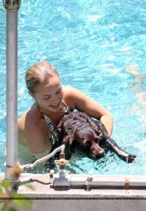 Hayden Panettiere a la piscine avec son chien