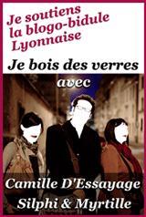 Moi ! Mégalo ? Apéros-Blogs Lyonnais