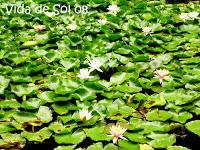 Le labyrinthe du Parque Las Aguilas