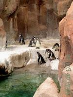 Le labyrinthe du Parque Las Aguilas