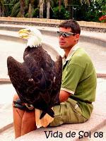 Le labyrinthe du Parque Las Aguilas