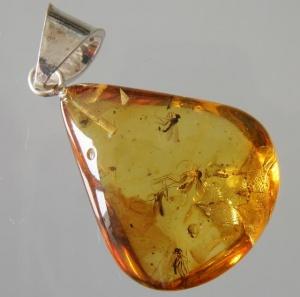 pendentif insecte ambre truebalticamber.com