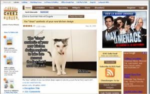 1 milliard de pages vues pour le blog des chats