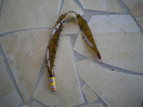 Quand Vient La Fin De L'Eté...