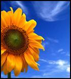 Gagnez du temps ! Les finances et l'administration en ligne