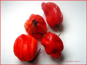 piment façon
