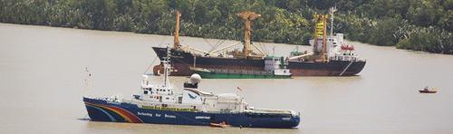 Greenpeace empêche le chargement d’une cargaison de bois illégal en Papouasie-Nouvelle Guinée.