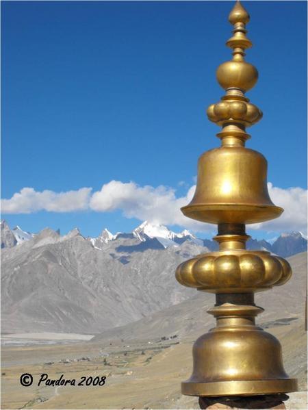 Merci pour vos commentaires Merci pour vos commentaires