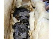 foetus tombe Toutankhamon seraient enfants