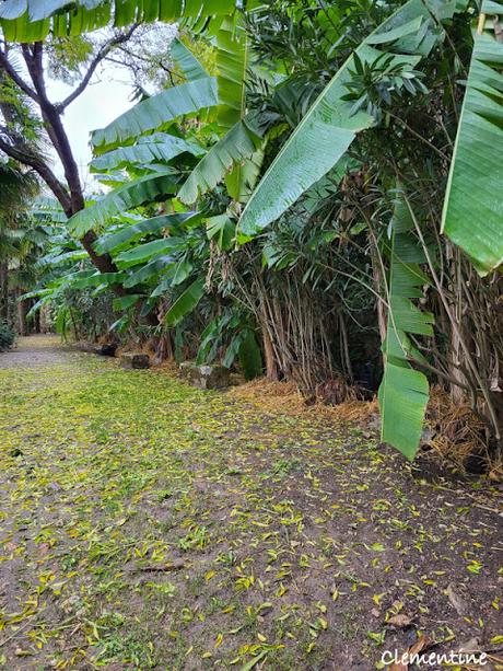 Séjour dans le Périgord - La Roque-Gageac et Beynac-et-Cazenac