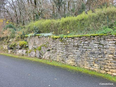 Séjour dans le Périgord - La Roque-Gageac et Beynac-et-Cazenac