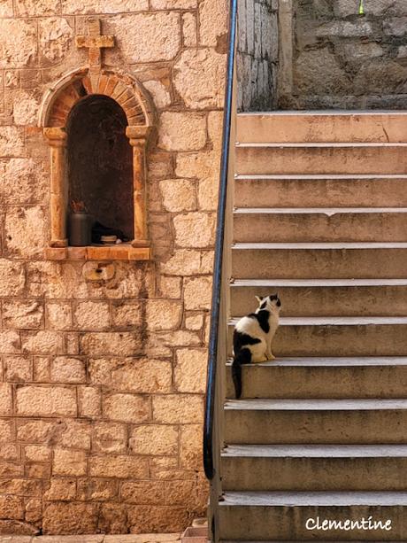 Voyage en Croatie - Šibenik